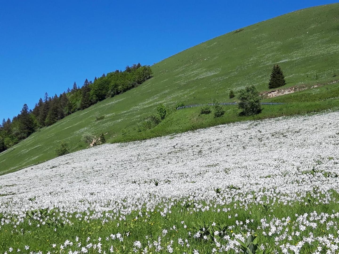 Valreley, Chambres Et Table D'Hotes Eco-Friendly Avec Bain Nordique Au Sud Du Massif Du Jura Champagne-en-Valromey Экстерьер фото